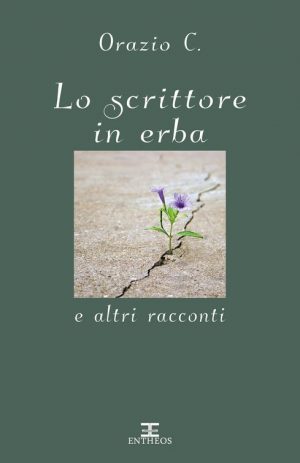 Lo scrittore in erba e altri racconti