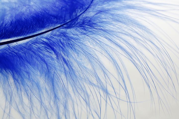 Il terapeuta e i tre moschettieri